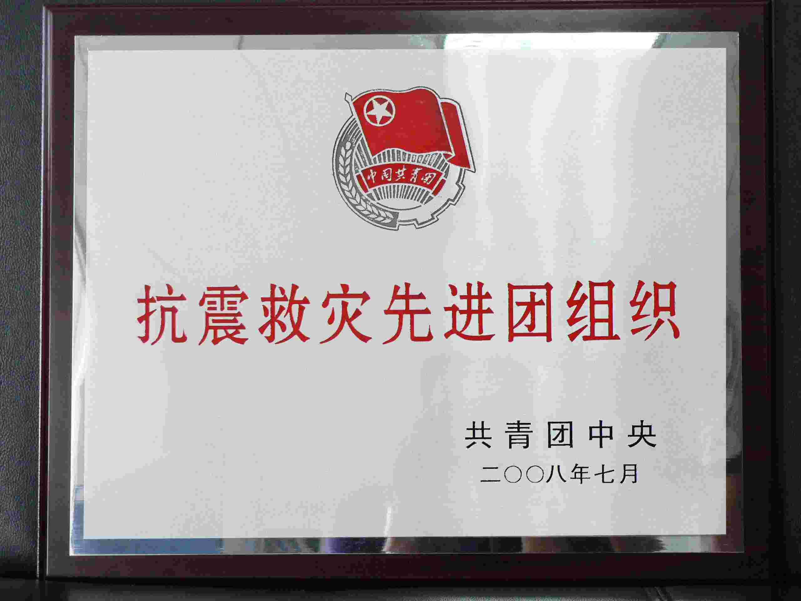 抗震救災(zāi)先進(jìn)團組織